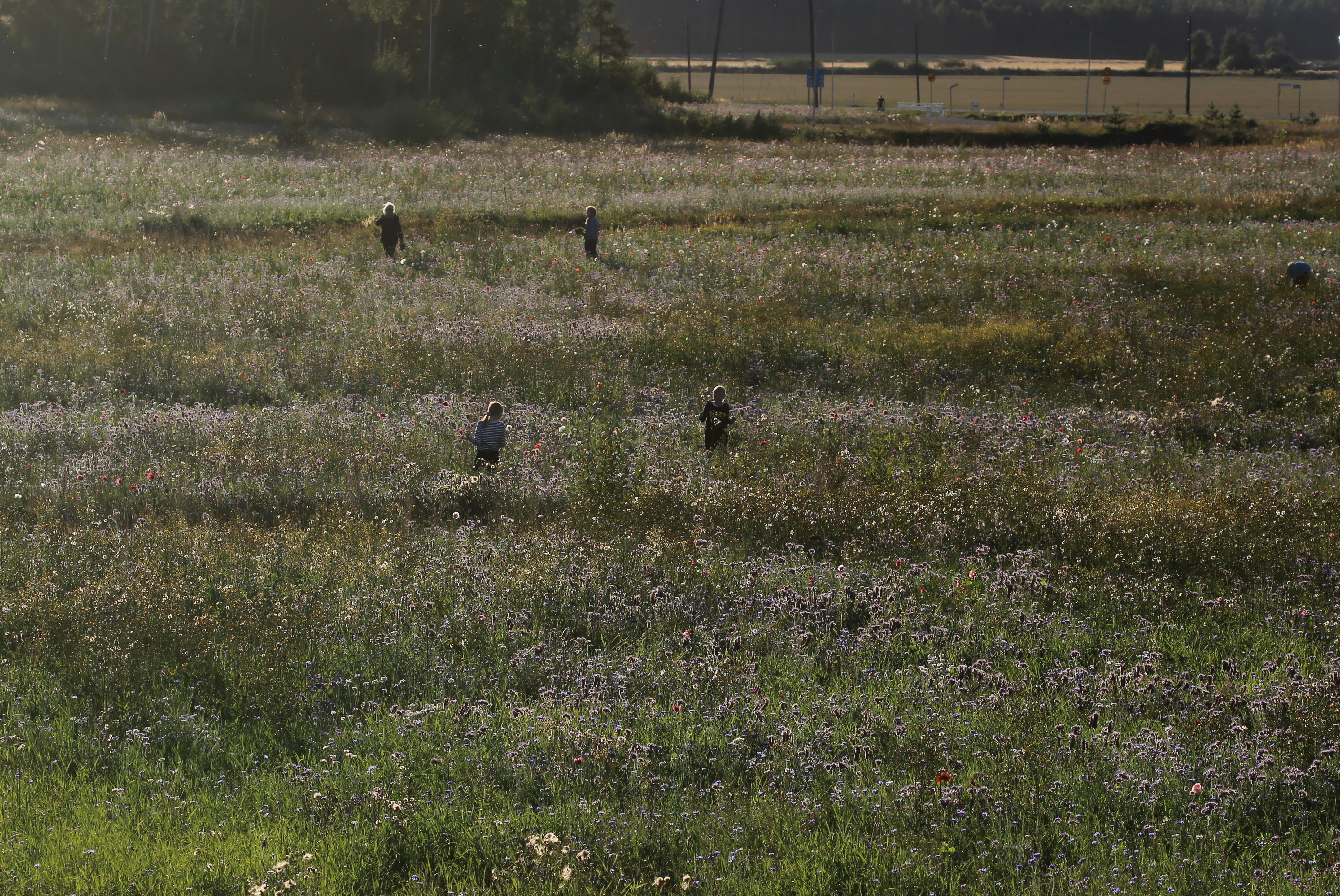 2 people walking on green grass field during daytime